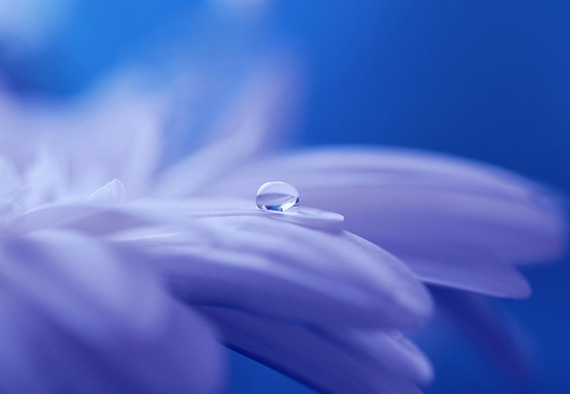 Magical Details