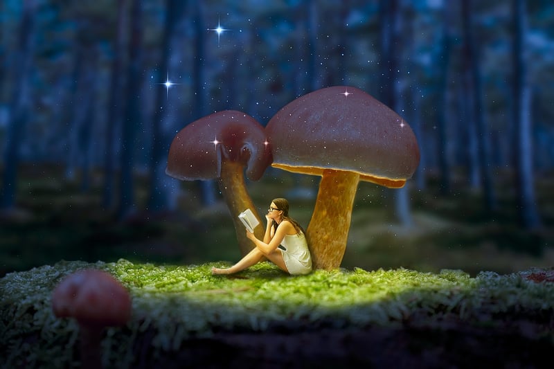 Enchanted Woods